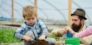 Tavaszi kerti munkák Tavaszi kerti munkák