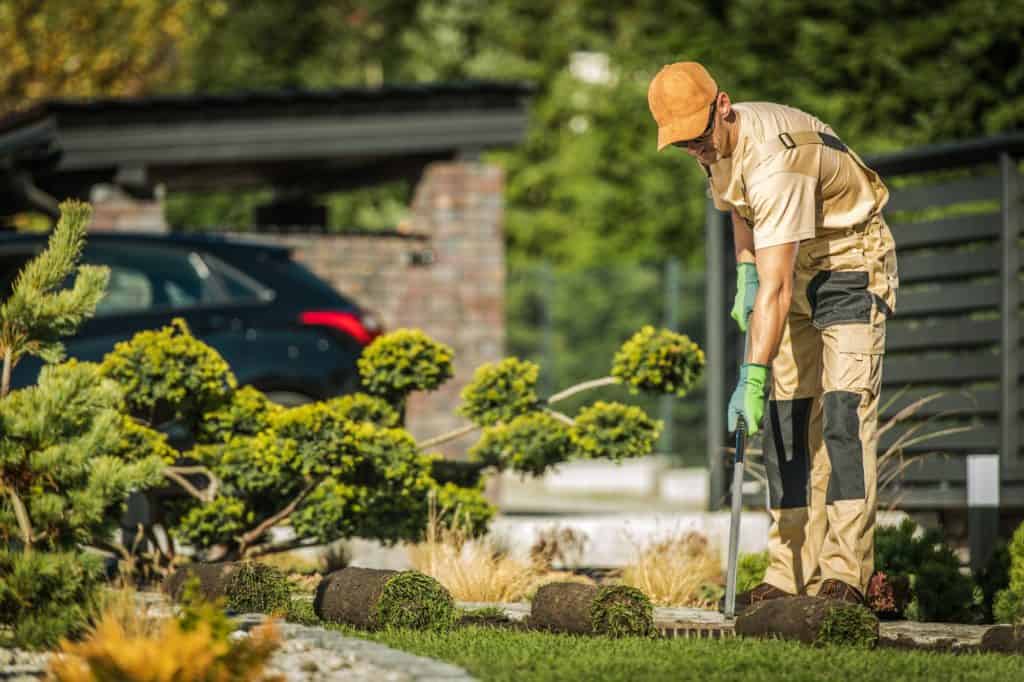 Gyeptelepítés: Szabályok és tanácsok gyeplazítás gyeptelepítés