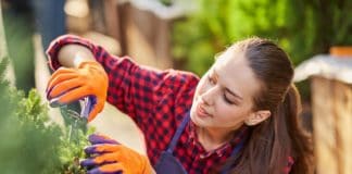 Kerti munkák februárban – Birkózz meg a tavasz eleji kerti munkákkal könnyedén Girl gardener dressed in apron is pruning plants in the beautiful nursery-garden on a sunny day
