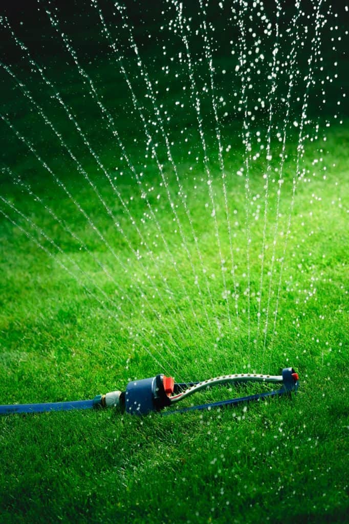 Gyeptelepítés: Szabályok és tanácsok Gyep locsolása gyeptelepítés