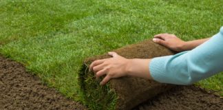 Gyeptelepítés: Szabályok és tanácsok Lawned garden