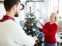 Illatfelhő tűlevelek nélkül ILLATFELHŐ TŰLEVELEK NÉLKÜL