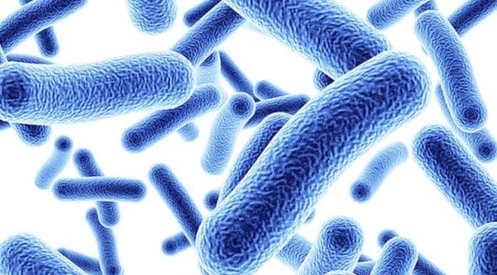 Fürdőszobánk sunyi veszélyforrásai FÜRDŐSZOBÁNK SUNYI VESZÉLYFORRÁSAI