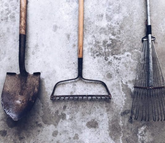 Kerti szerszámok tárolása, karbantartása, tisztítása Kerti szerszámok tárolása, karbantartása, tisztítása