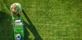 Milyen szempontok szerint válasszunk fűnyírót? fűnyíró