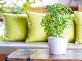 Kerti bútor párna készítése Kerti bútor párna