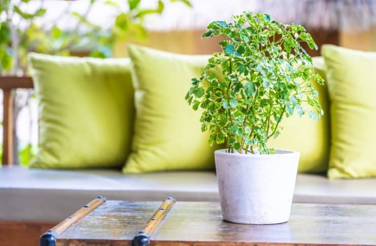 Kerti bútor párna készítése Kerti bútor párna