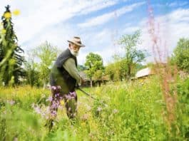 Bozótirtás házilag Kasza Kaszálás