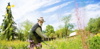 Bozótirtás házilag Kasza Kaszálás