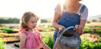 Így szerettetheted meg a kertészkedést gyerekekkel Small girl with senior grandmother gardening in the backyard garden, midsection