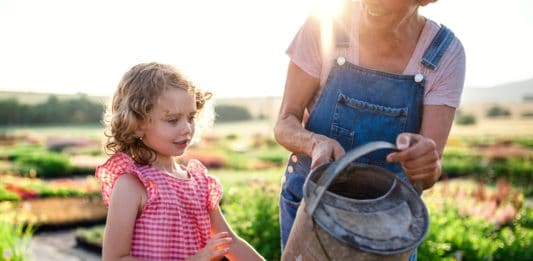 Így szerettetheted meg a kertészkedést gyerekekkel Small girl with senior grandmother gardening in the backyard garden, midsection